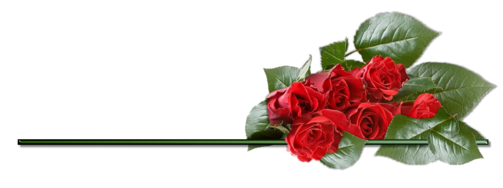 Rozi 1024x384